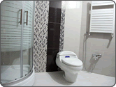 سرویس های بهداشتی